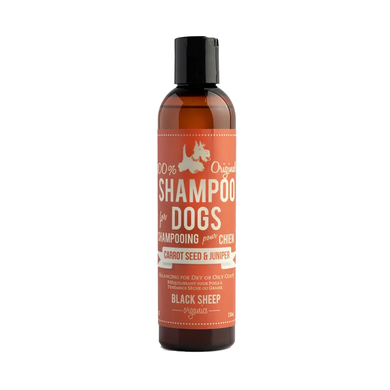 Black Sheep Organics - Carrot Seed & Juniper Organic Shampoo