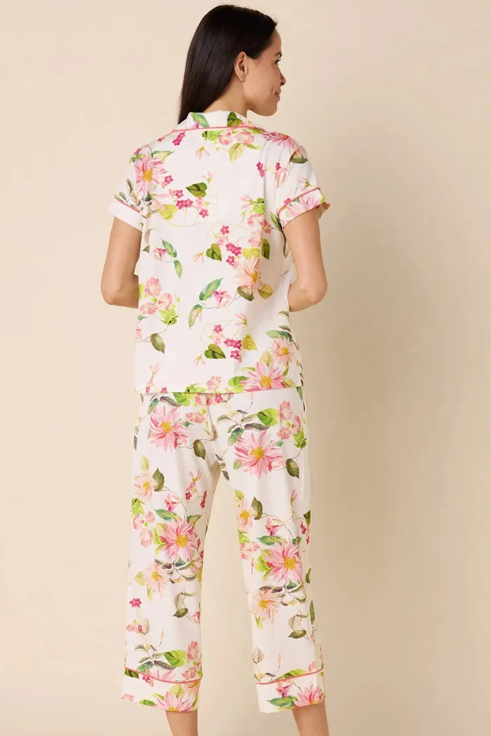 Carolina Pima Knit Capri Set