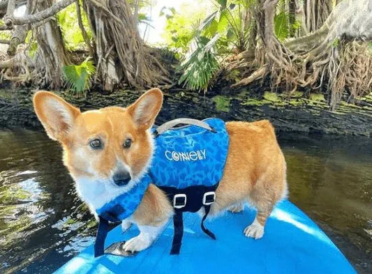 Connelly Otis Dog Vest