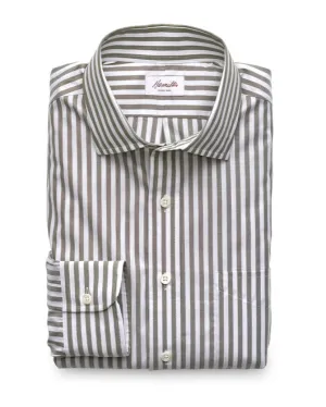 Everton Bengal Stripe