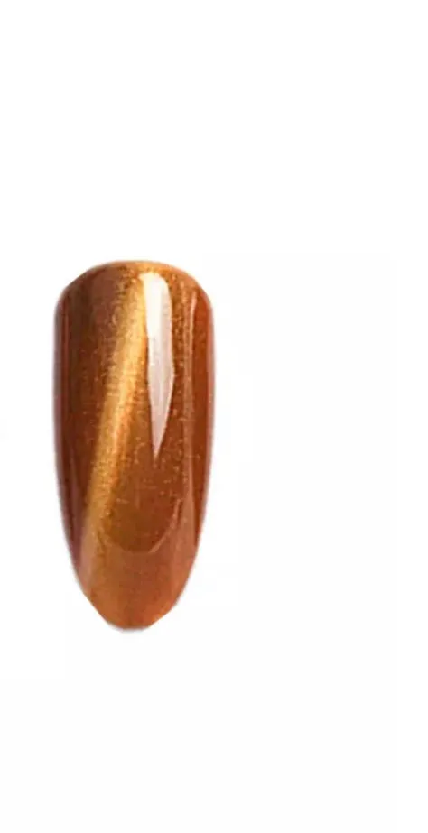 Gel Nail Polish Nail Art Supplies Cateye