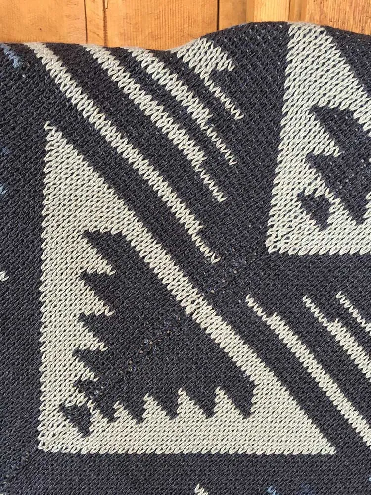 Indigo Valley Serape Throw by Tasha Polizzi