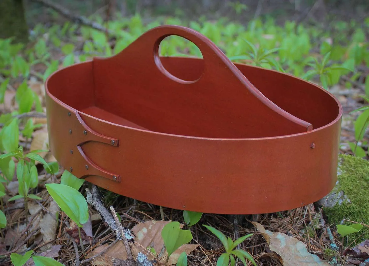 Shaker Divided Carrier