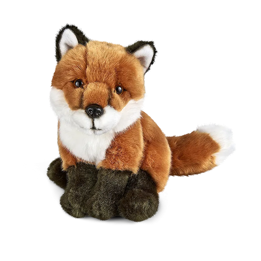 Sitting Fox